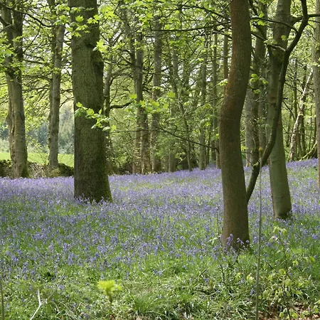 Wharfe Camp Glamping Lodge
