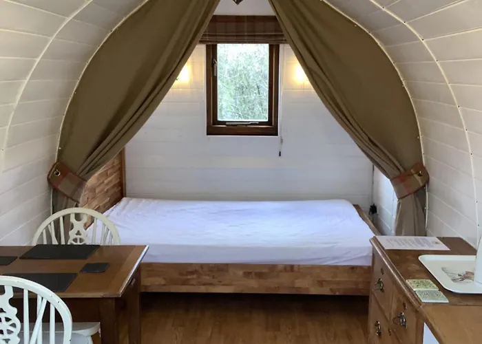 Wharfe Camp Glamping