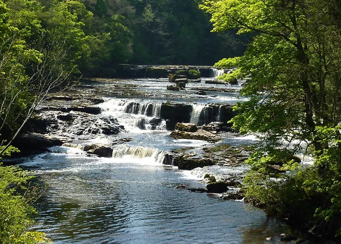 롯지 Wharfe Camp Glamping