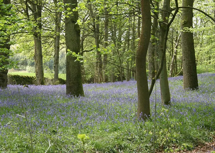 Wharfe Camp Glamping Lodge